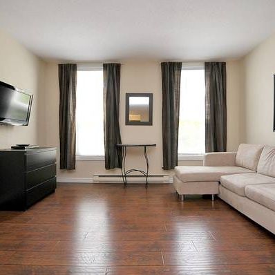 James Bay Pet Friendly Suite by the Ocean - Photo 4