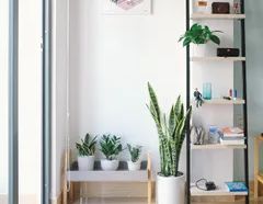 4 rooms apartment of 50m² in Quebec - Photo 1