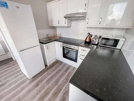 Upper Parliament Street, L8 - Photo 5