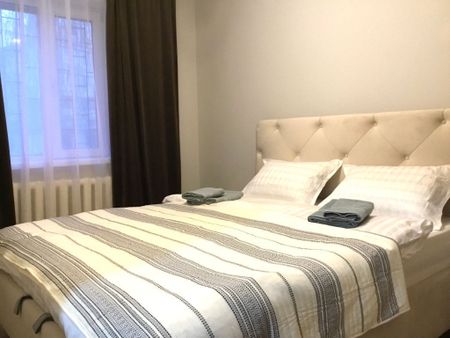 De inchiriat apartament 2 camere in zona Borhanci - Photo 3