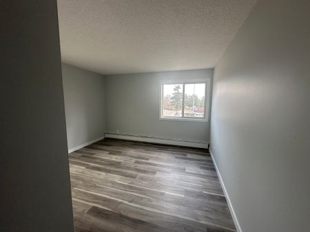 Small Pet Friendly Spacious 3-Bedroom Apartment - Photo 5