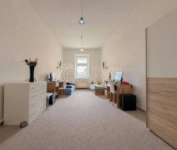 K PRONÁJMU - studentské bydlení ve zrekonstruovaném bytě 4+1, hned ... - Fotografie 4