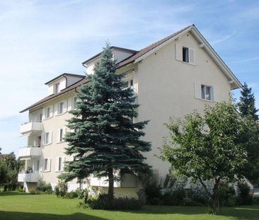 3.5 Zimmer, EG - Photo 6