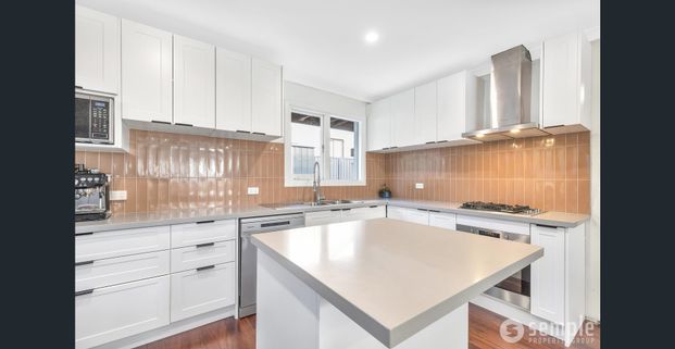 Renovated Family Home on Corner Block - Opposite Rinaldo Park - Photo 1