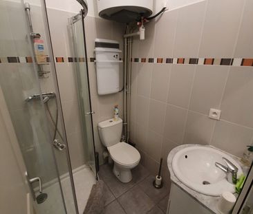 Location Appartement 1 pièce 19m² ST SYMPHORIEN D OZON 69360 - Photo 5