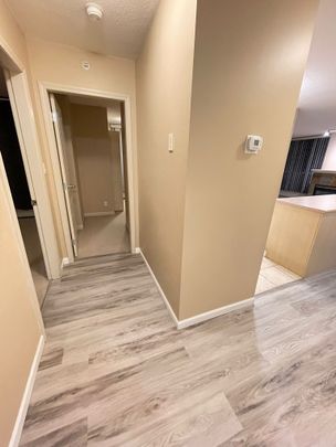 Exquisite 2 bedroom 2 bath condo located in downtown West! - Photo 1