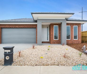 Spacious Family Living in the Heart of Kinbrook - Photo 3