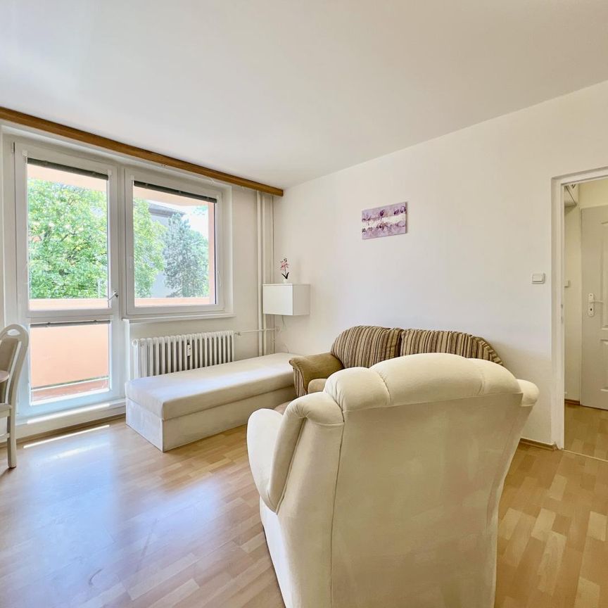 Pronájem bytu 1+1 33 m², Nábřeží, Napajedla - Photo 1