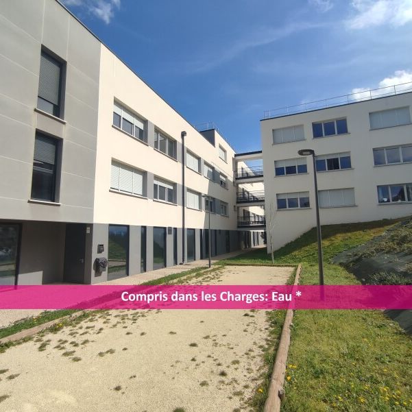 Location Appartement 2 pièces 29m² AUZEVILLE TOLOSANE 31320 - Photo 2