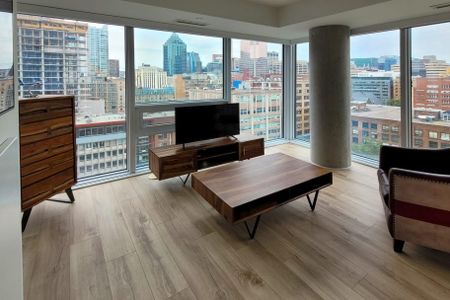 Condo for rent, Montréal (Ville-Marie) - Photo 4