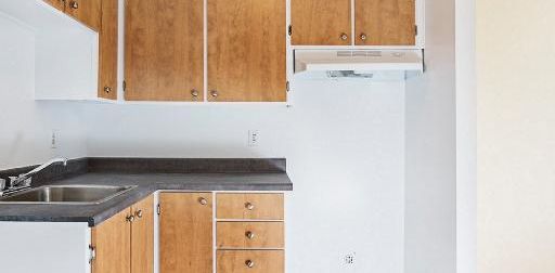 Jardin sur la Rive | 2 1/2 Neuf à Louer | studio for Rent | Pointe-Aux-Tremble - Photo 2