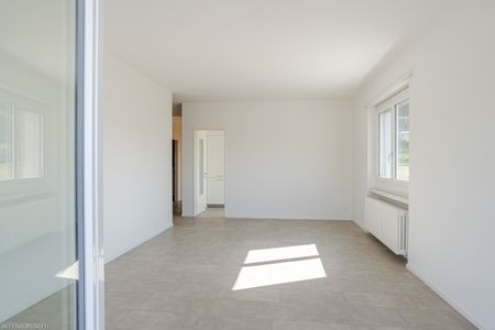 MENDRISIO – LUMINOSO APPARTAMENTO - Photo 3