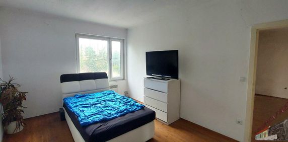 Großzügige Singlewohnung! - Photo 2
