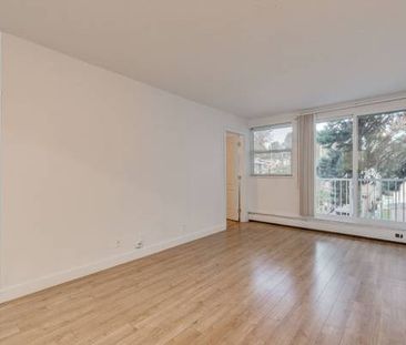 COZY 1 BDR APT NEAR TRANSIT & SHOPS - Photo 2