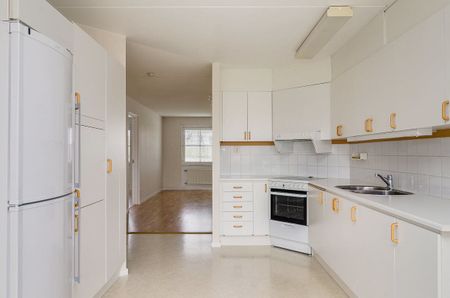 Solberga: Etta i markplan - Foto 3