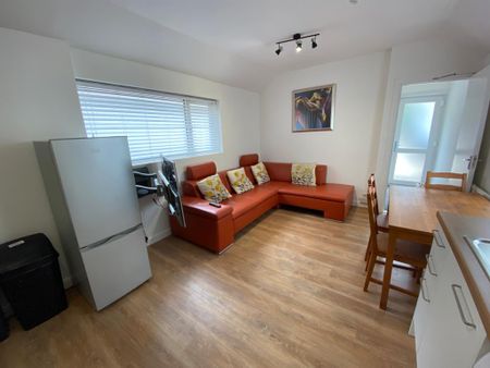 This Victorian townhouse is just a 2 minute walk to Singleton Park Flat 3 - Photo 5