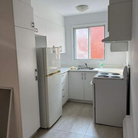 1 CH - 1 SDB - Montréal - $1,345 /mo - Photo 3