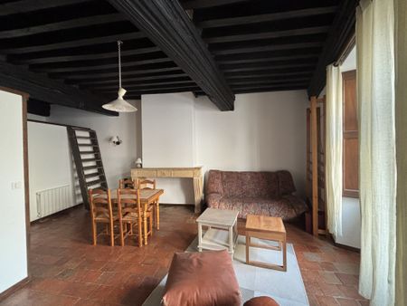 Location Appartement 1 pièce 33m² CHARLIEU 42190 - Photo 2