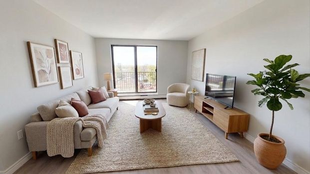 Bachelor Apartment - Photo 1