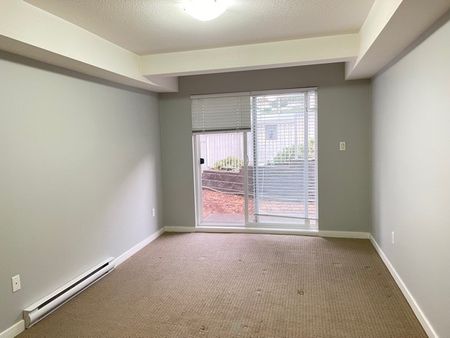 1 Bedroom at Old Yale Heights! - Photo 3