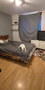 2 CH - 1 SDB - Québec - $1,129 /mo - Photo 3