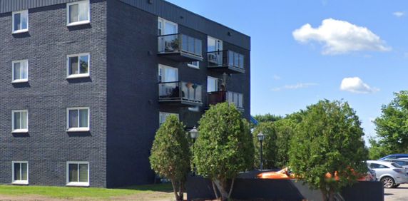 MEUBLÉ-FURNISHED TOUT INCLUS - Photo 2