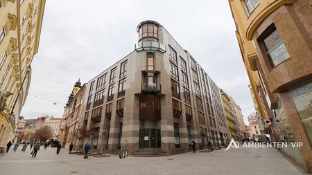 Pronájem bytu 1+kk 53 m² - Fotografie 5