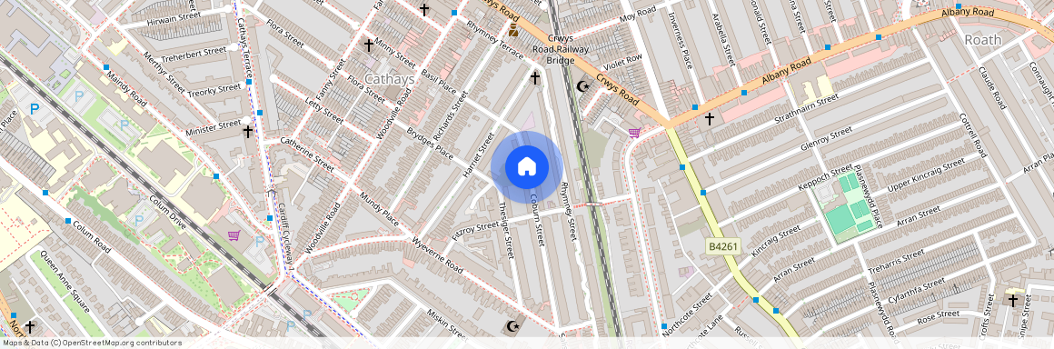 Coburn Street, CF24 4BR, Cathays