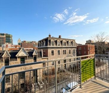 Appartement à louer - Montréal (Ville-Marie) (Centre) - Photo 2