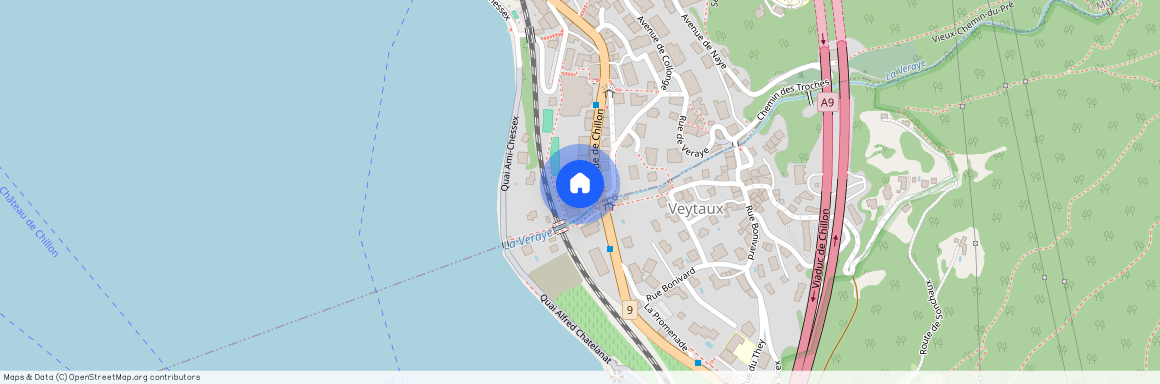 1820, Montreux, Avenue De Chillon, 51