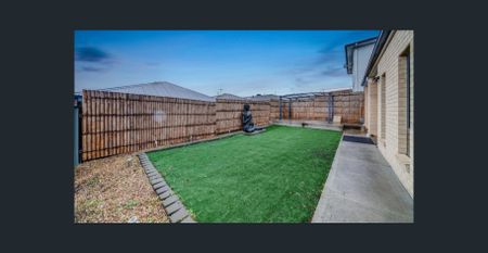 Stunning Family Home in Craigieburn - Photo 5