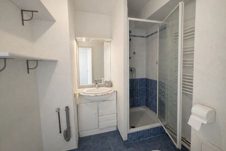 Location Appartement 1 pièce 28m² - Photo 4