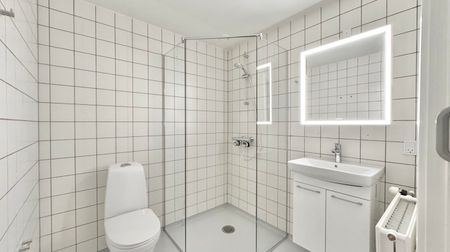 2 værelses – Horsetorvet 1, 2. lejl. 25 – Odense C - Foto 3