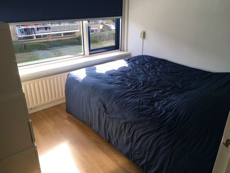 Knuttelstraat - Photo 2