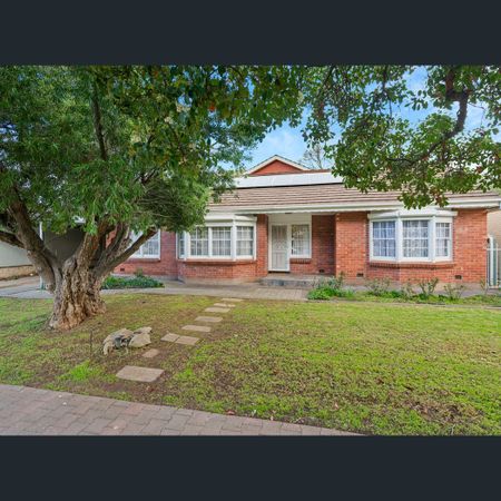 2/1 Stock Avenue, Campbelltown, SA 5074 - Photo 3