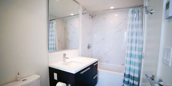 Beautiful 1Bed in Metrotown area - Photo 3