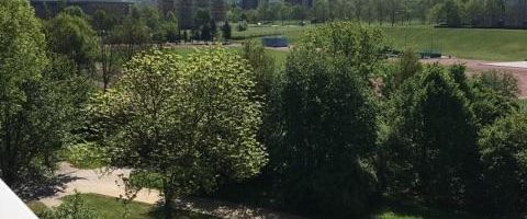 Schöne 2-Raumwohnung mit Aufzug und Balkon mit Blick ins Grüne. - Foto 1