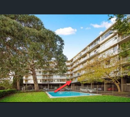 12/19 Stanley Street, Woollahra, NSW 2025 - Photo 1