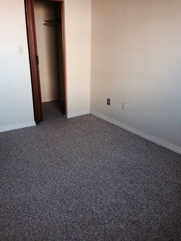 Blue Heron - Photo 2