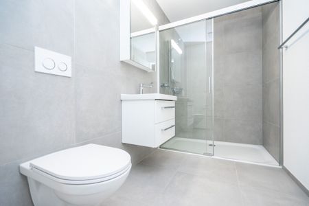 Newly built apartment in the popular residential park Blümlisalp! - Photo 4