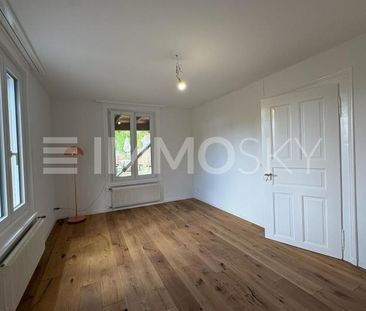2.5 Zimmer, 54 m², 2. Stock - Photo 1