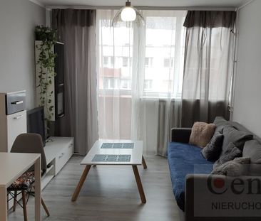 Opole, Centrum Mieszkanie na wynajem - Photo 1