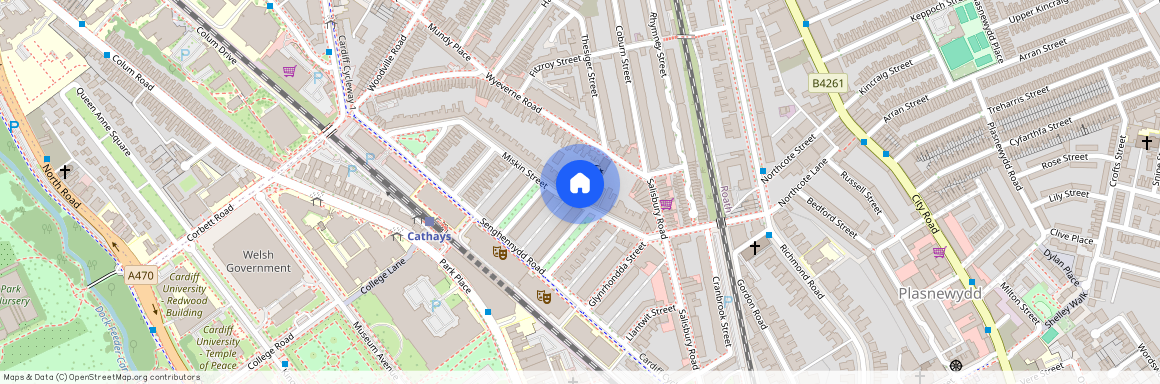 Miskin Street, CF24 4AQ, Cathays