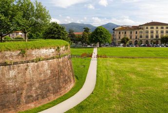 Ampio appartamento con terrazzino libero da metà marzo 2026 !