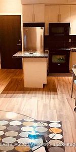 Bloor/Sherbourne Furnished 1Bdrm 1Bath Modern Finishes 9Ft Ceilings - Photo 4