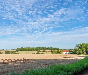 3 bedroom detached house to rent - Photo 5