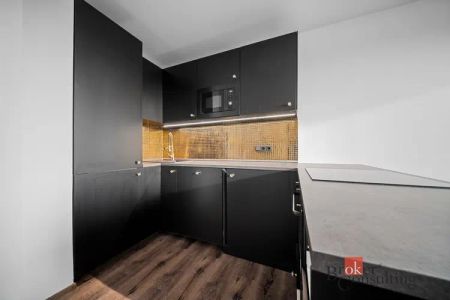 Pronájem bytu 2+kk 41 m - Fotografie 4