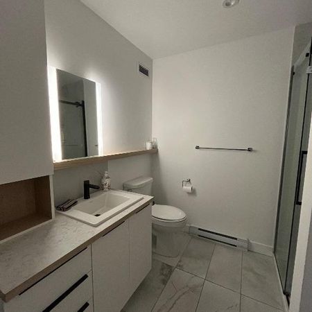 Grand Appartement 2 1/2 Saint-Romuald - Photo 3