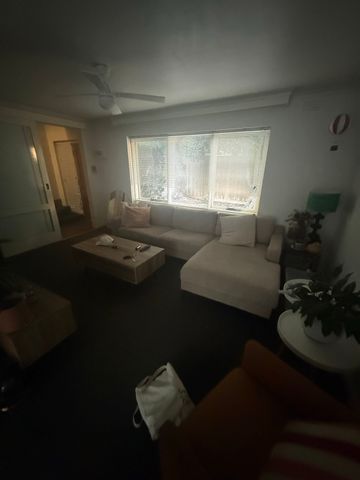 Hawthorn East - Photo 4