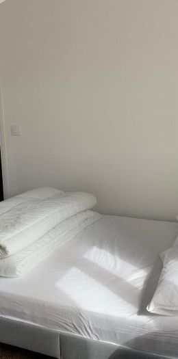 Appartement à louer, 1 pièce - Angers 49000 - Photo 1